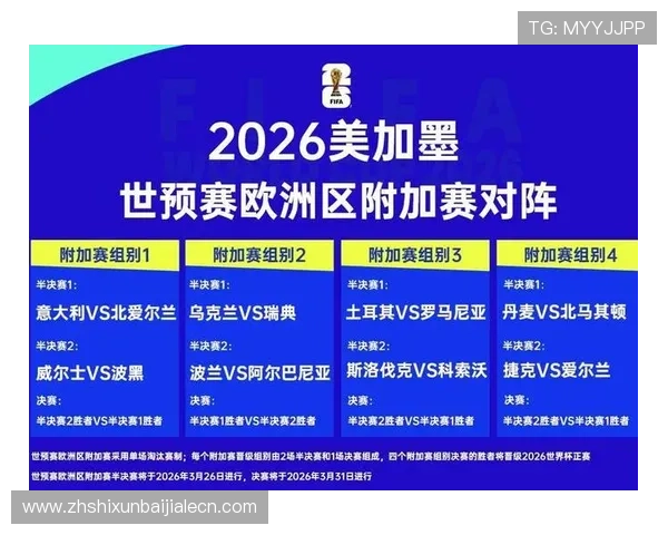 世界杯加拿大波黑比赛赛后数据对比:进攻、防守、控球等多维度分析报告 世界杯加拿大波黑比赛赛后数据对比:进攻、防守、控球等多维度分析报告